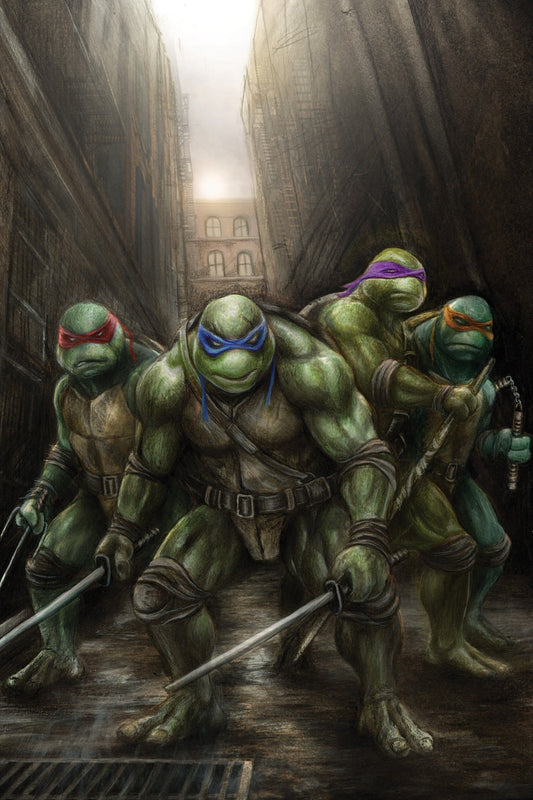 Teenage Mutant Ninja Turtles 17 Wil Shrike - FURYCOMIX