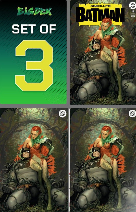 Absolute Batman #18 STJEPAN SEJIC Trade/Virgin/Foil Set - FURYCOMIX