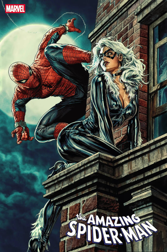 Amazing Spider - Man #7 Lee Bermejo Black Cat Variant - FURYCOMIX