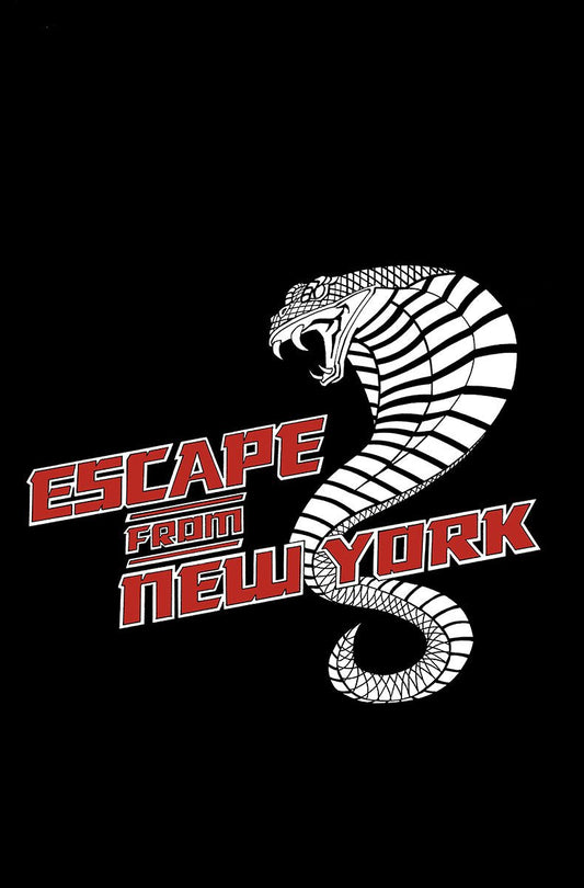 ESCAPE FROM NEW YORK #1 CHAD HARDIN NYCC EXCLUSIVE VAR (10/28/2026) - FURYCOMIX