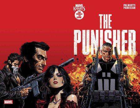 MARVEL KNIGHTS : PUNISHER  1 - FURYCOMIX