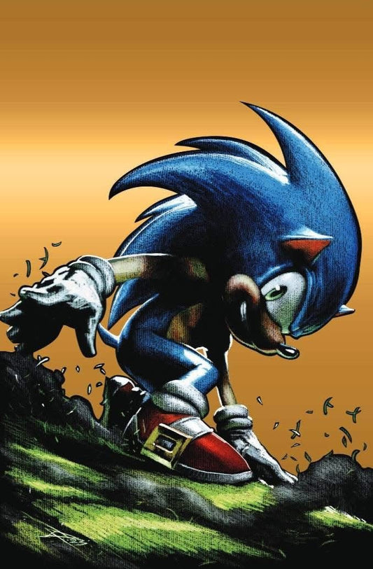 Sonic the Hedgehog 76 - Black Saber Comics MegaCon Exclusive - FOIL SET - Gabriele Dell'Otto - FURYCOMIX
