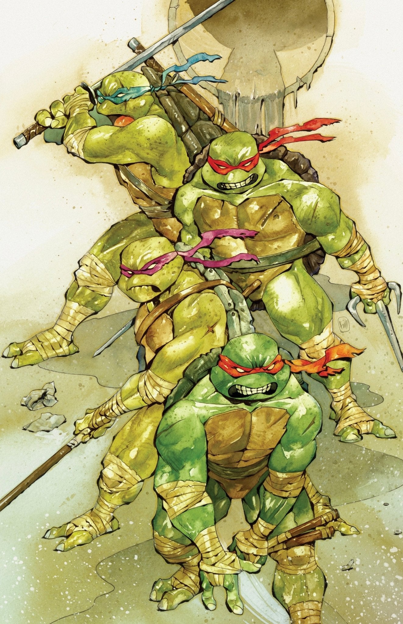Teenage Mutant Ninja Turtles 20 300Th Issue Special CHUMA HILL VIRGIN EXCLUSIVE - FURYCOMIX
