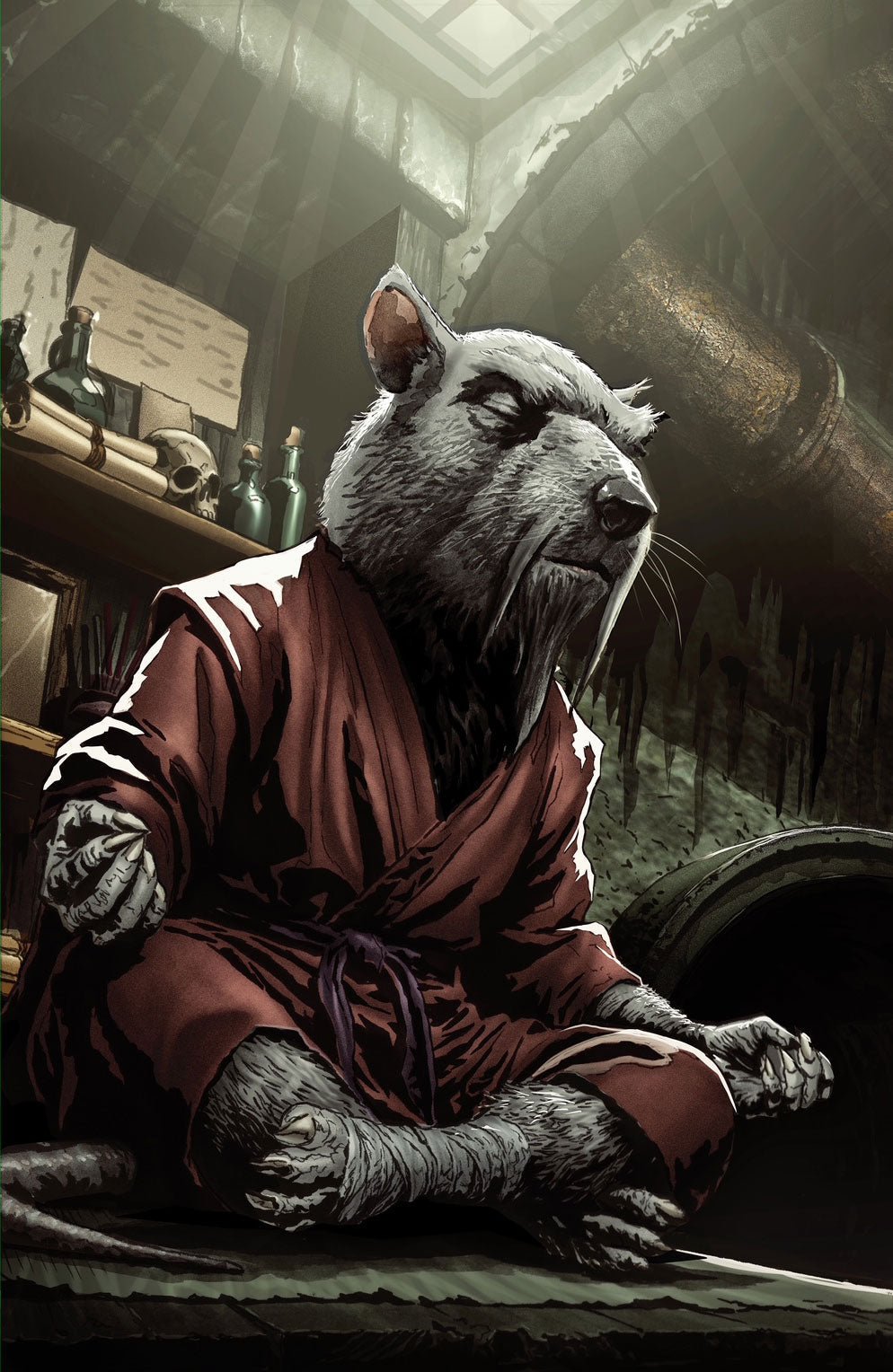 Teenage Mutant Ninja Turtles #22 Splinter vs. Shredder MICO SUAYAN NYCC Big Dex Exclusive Variants LTD 500 - FURYCOMIX