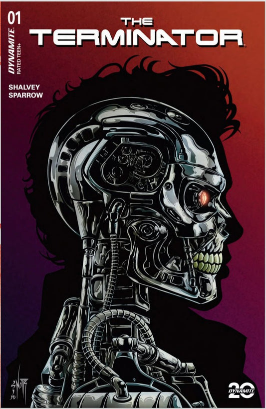 TERMINATOR 1 JORDAN NOIR COLOR VARIANT, JAMS FORTRESS EXCLUSIVE - FURYCOMIX