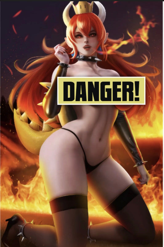 BOWSER DANEJOE ARTBOOK 2 PACK - FURYCOMIX